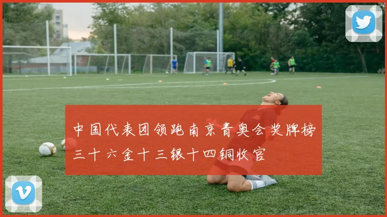 中国代表团领跑南京青奥会奖牌榜三十六金十三银十四铜收官