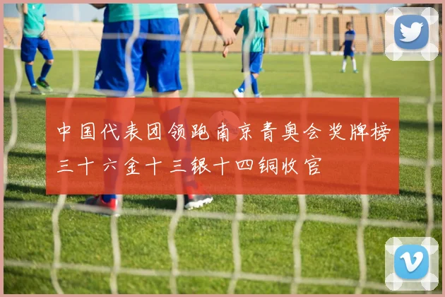 中国代表团领跑南京青奥会奖牌榜三十六金十三银十四铜收官