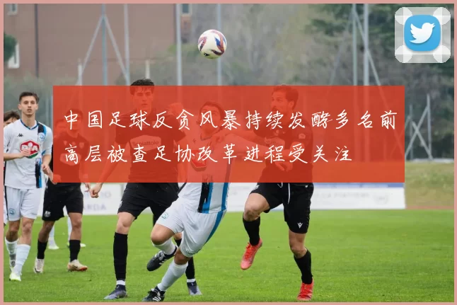 中国足球反贪风暴持续发酵多名前高层被查足协改革进程受关注