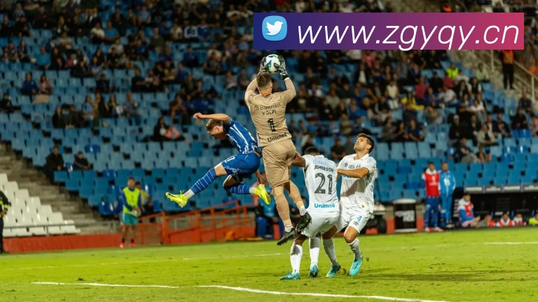 多媒体互动体验